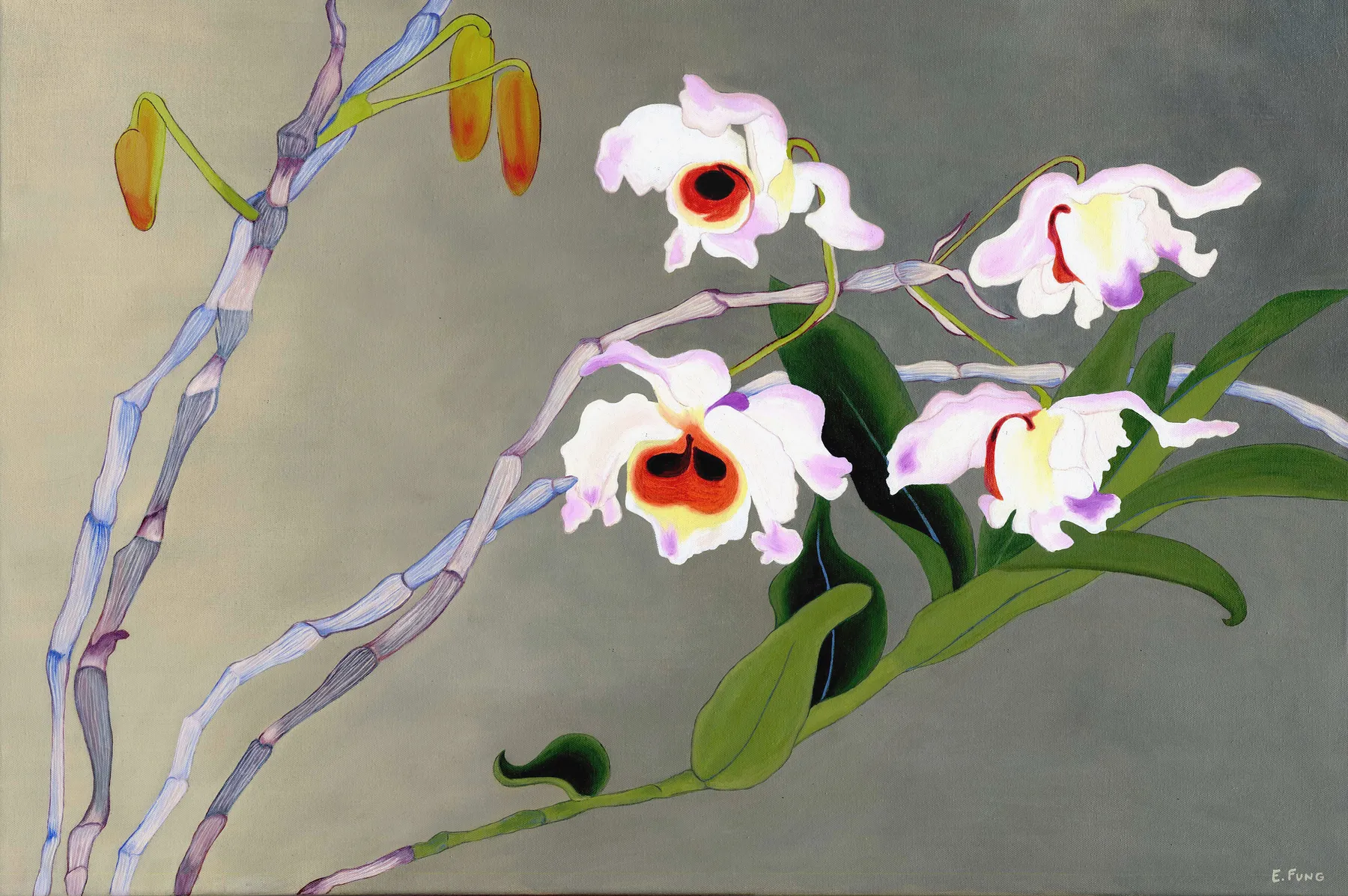 Orchids