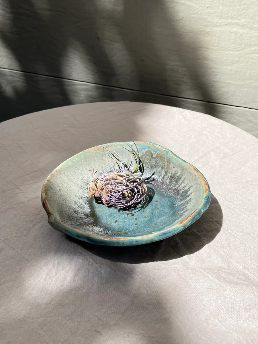 Shell Plate