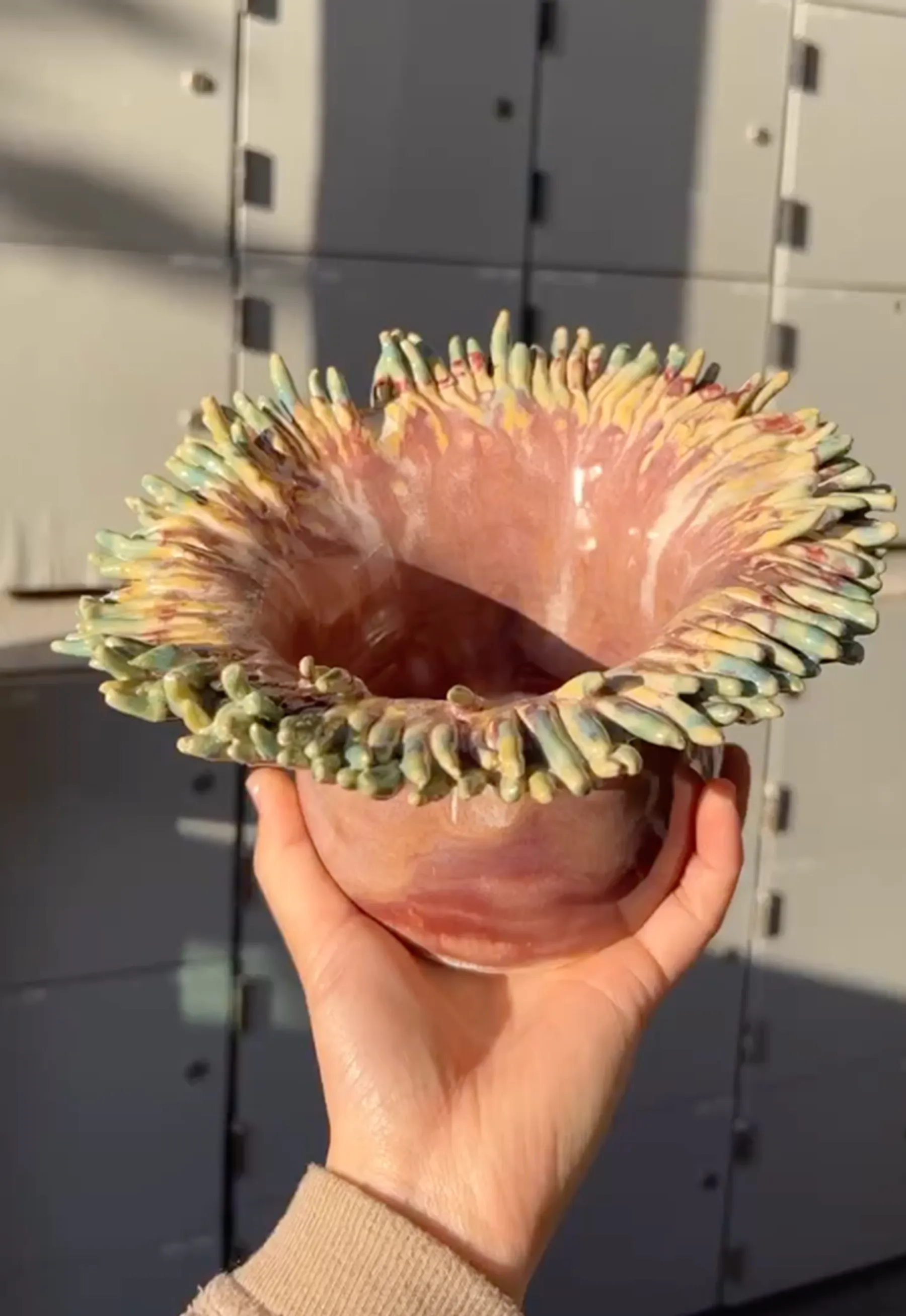 Anenome