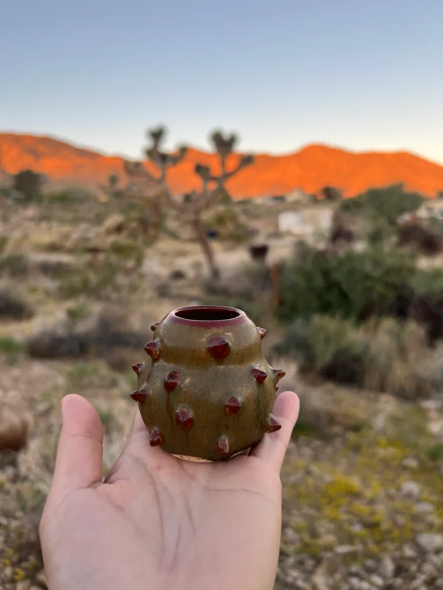 Cactus Pot