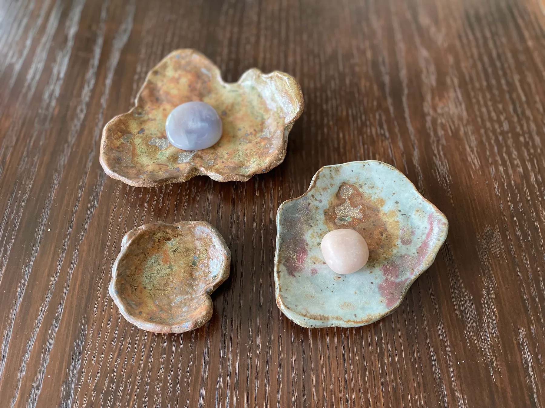 Shell Dishes